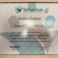 Resmi büyüt: certificate 2