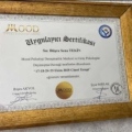 Resmi büyüt: certificate 6