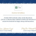 Resmi büyüt: certificate 7