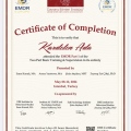 Resmi büyüt: certificate 1