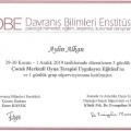 Resmi büyüt: certificate 3