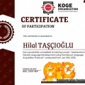 Resmi büyüt: certificate 9