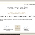 Resmi büyüt: certificate 12