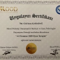 Resmi büyüt: certificate 4