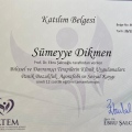 Resmi büyüt: certificate 12