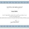 Resmi büyüt: certificate 10