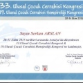 Resmi büyüt: certificate 26