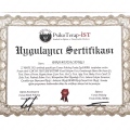 Resmi büyüt: certificate 11