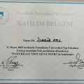 Resmi büyüt: certificate 3