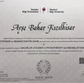 Resmi büyüt: certificate 2