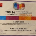 Resmi büyüt: certificate 1