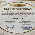 Resmi büyüt: certificate 9