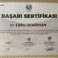 Resmi büyüt: certificate 4