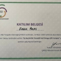 Resmi büyüt: certificate 17