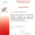 Resmi büyüt: certificate 65