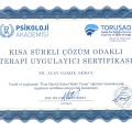 Resmi büyüt: certificate 34