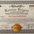 Resmi büyüt: certificate 2