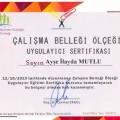 Resmi büyüt: certificate 4