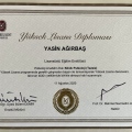 Resmi büyüt: certificate 2