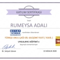Resmi büyüt: certificate 3