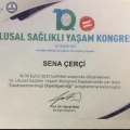 Resmi büyüt: certificate 1
