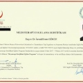 Resmi büyüt: certificate 1