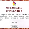 Resmi büyüt: certificate 19