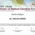 Resmi büyüt: certificate 7