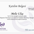 Resmi büyüt: certificate 3