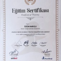 Resmi büyüt: certificate 20