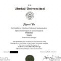 Resmi büyüt: certificate 1