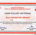 Resmi büyüt: certificate 22