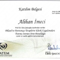 Resmi büyüt: certificate 3