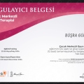 Resmi büyüt: certificate 5