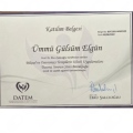 Resmi büyüt: certificate 3