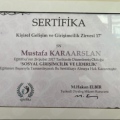 Resmi büyüt: certificate 14