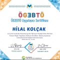 Resmi büyüt: certificate 6