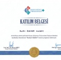 Resmi büyüt: certificate 17