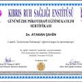 Resmi büyüt: certificate 24