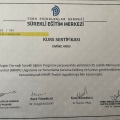 Resmi büyüt: certificate 9
