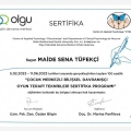 Resmi büyüt: certificate 3