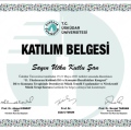 Resmi büyüt: certificate 1