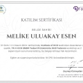 Resmi büyüt: certificate 21
