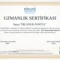 Resmi büyüt: certificate 6