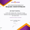 Resmi büyüt: certificate 17