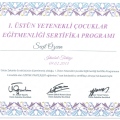 Resmi büyüt: certificate 8