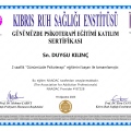 Resmi büyüt: certificate 5
