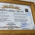 Resmi büyüt: certificate 3