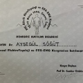 Resmi büyüt: certificate 3