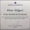 Resmi büyüt: certificate 13